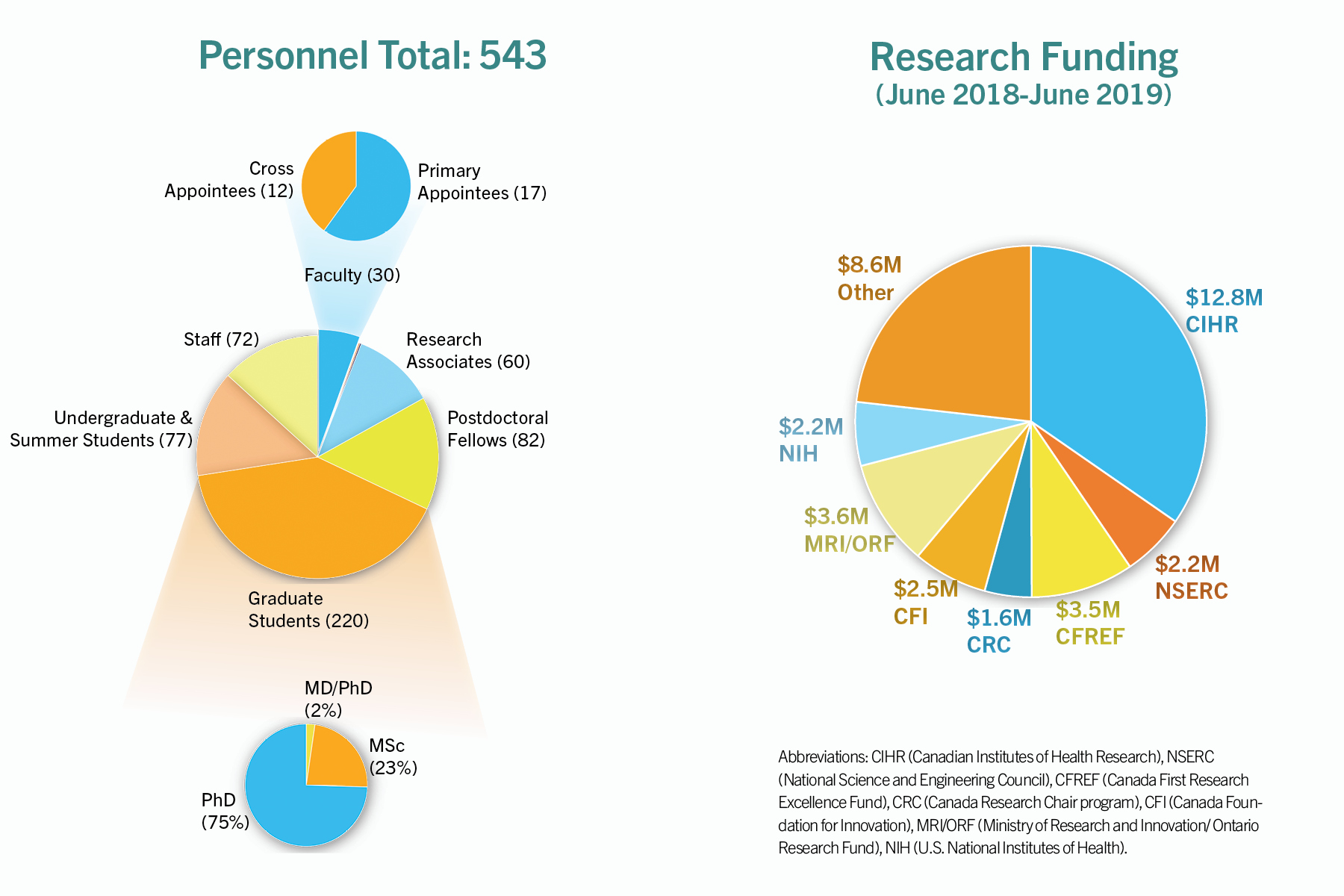 infographics slide