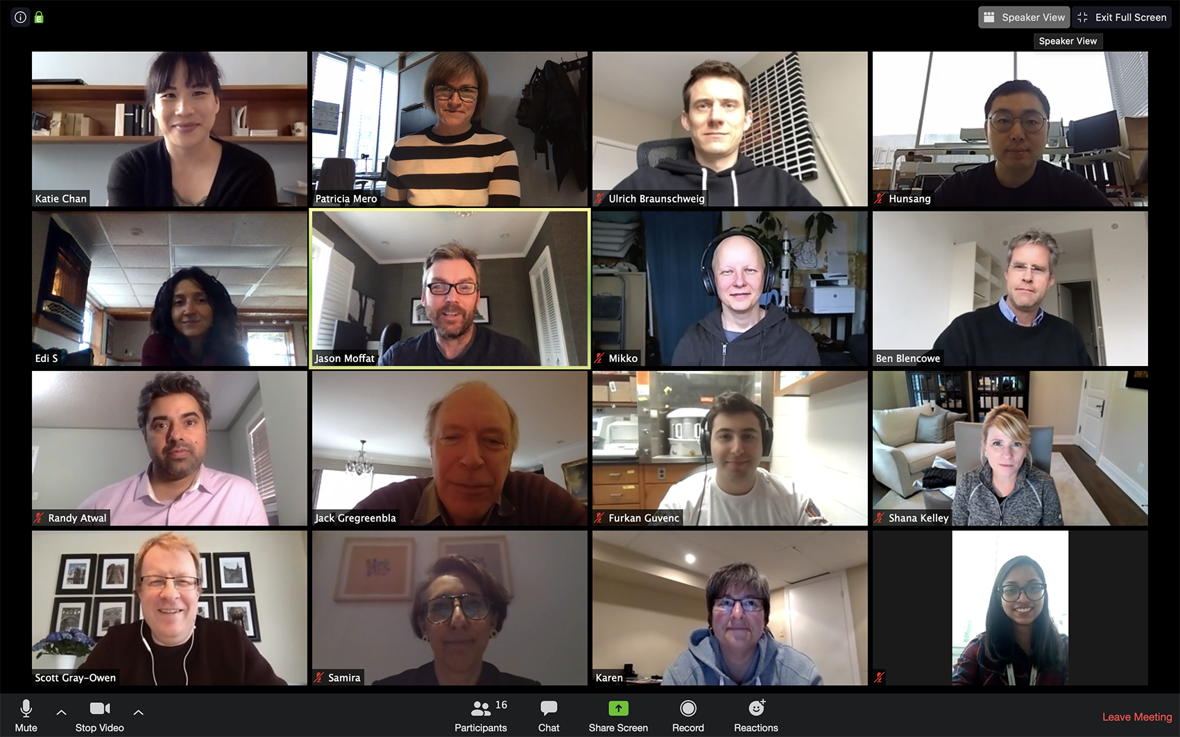 Screen shot of researchers on video call