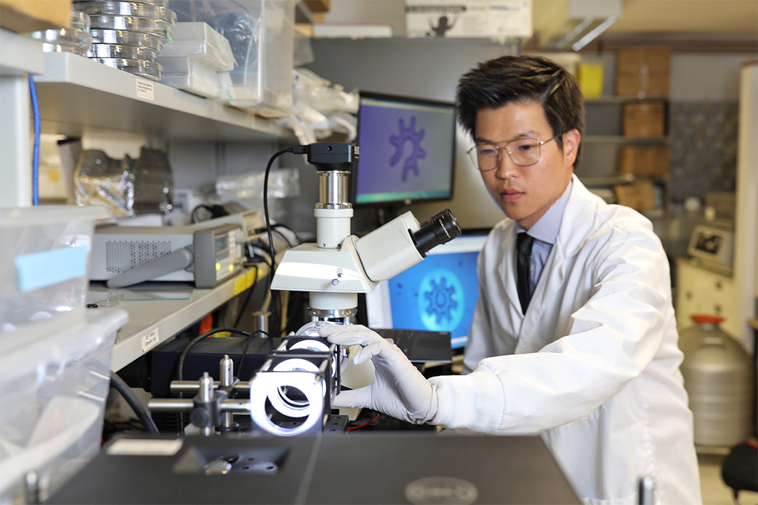 Shuailong working in the lab