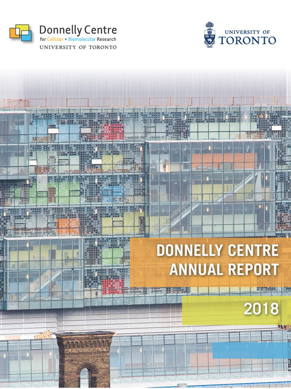cover page of 2018 annual report