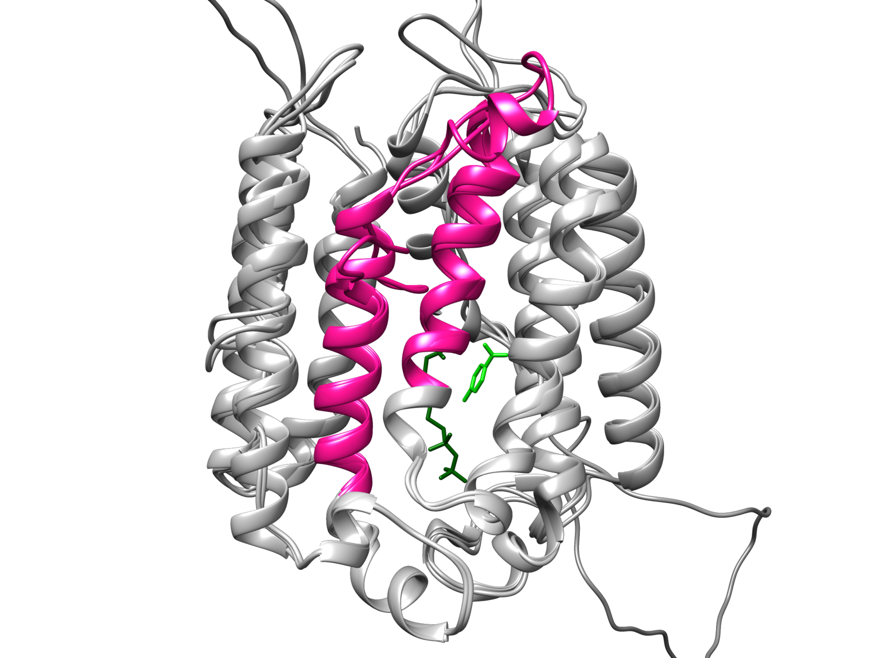 molecular structure of the COQ2 enzyme