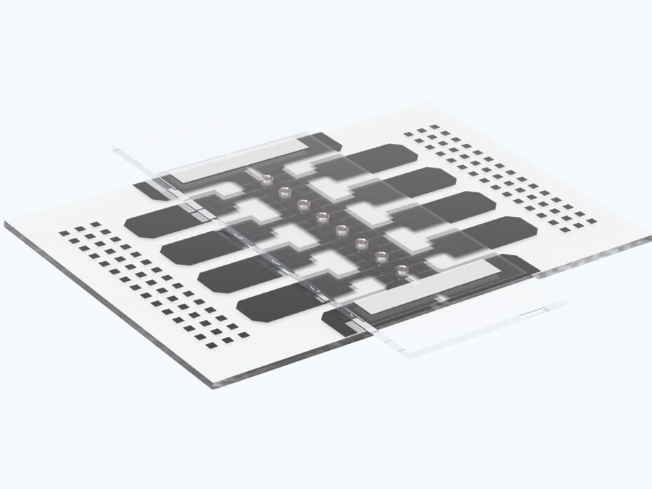 microfluidic chip with an array of droplets