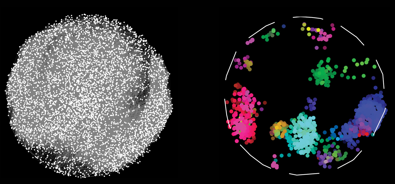 network view of the protein map